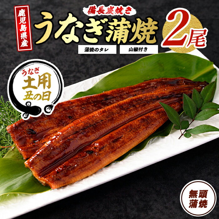 【ふるさと納税】＜丑の日用も選べる！7/20までの決済完了で7/15〜7/25にお届け＞うなぎ生産量日本一！鹿児島産鰻蒲焼(無頭背開き 約135g×2尾、タレ・山椒付き) うなぎ 鰻 ウナギ 鹿児島 国産 蒲焼き 冷凍 うな重 丼 ひつまぶし うな丼 うな重 簡易包装 家庭用【奈良】