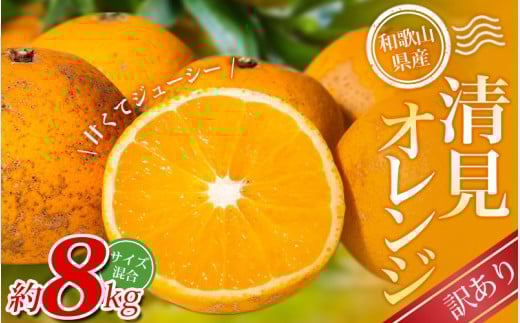 【訳あり】 森本農園の手選別 清見オレンジ 約8kg 和歌山県産 サイズ混合 ※2026年2月上旬～5月中旬頃順次発送 / 清見 きよみ オレンジ 柑橘 期間限定 由良町 果物 フルーツ 和歌山県【mrmt049】