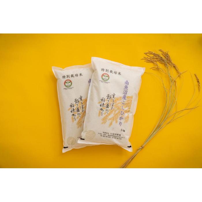 【令和7年産】 南魚沼産コシヒカリ「特別栽培米（アファス認証）」精米5kg×２袋【新潟県 特A地区】