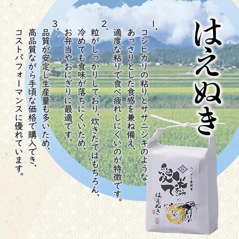 【令和8年産先行予約】【6ヶ月定期便】 はえぬき　精米 10kg(5kg×2袋) × 6ヶ月　山形県鶴岡市産　愛米て　| 米 こめ コメ 10キロ ブランド米 庄内米 ごはん ご飯 美味しい 国産 お