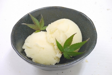 和歌山の南高梅（シャーベット）A-037