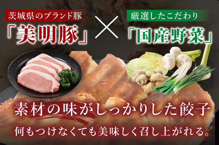 冷凍餃子 40個（20個×2袋） ブランド豚 「 美明豚 」（茨城県共通返礼品・行方市産） 小分け 餃子 ギョウザ 国産 豚肉 野菜 惣菜 おかず フライパン