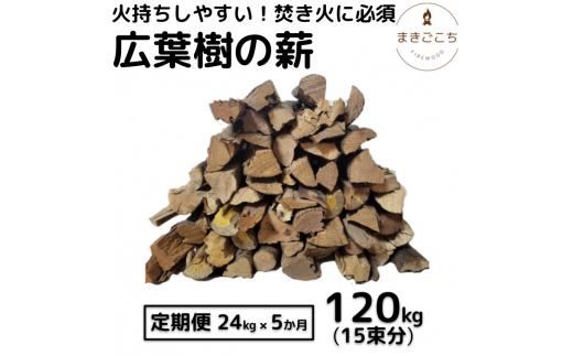 薪 24kg 24キロ 5ヶ月定期便 約35cm まき 広葉樹 乾燥 キャンプ アウトドア 料理 バーベキュー BBQ オーブン ストーブ 暖炉  焚き火台 燃料 ピザ窯 石窯【大月町共通返礼品】