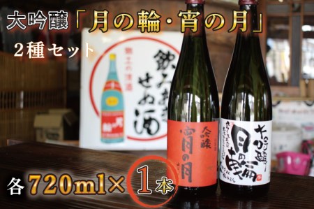 【日本酒】月の輪 大吟醸2種セット 日本酒(AW010)