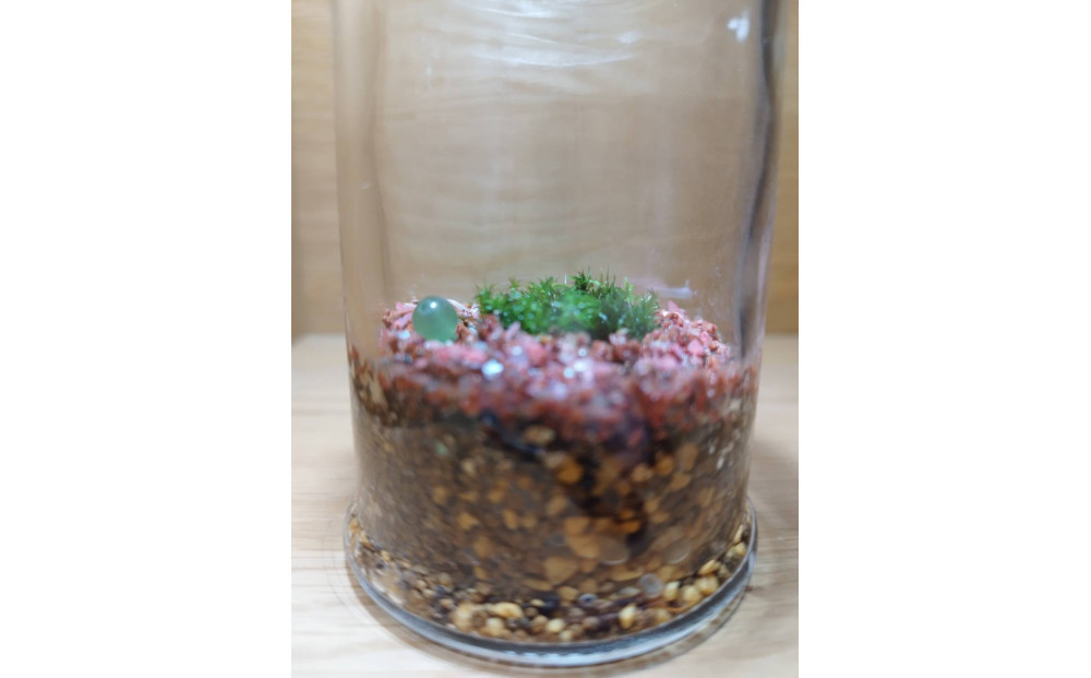 KOBE　COLORS　～STONE & MOSS～