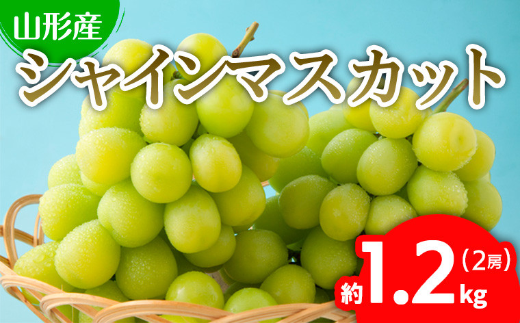 
            ぷりぷりのシャインマスカット 2房 約1.2kg(1房500g～700g) 【令和7年産先行予約】FU22-743 くだもの 果物 フルーツ 山形 山形県 山形市 2025年産
          