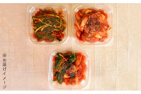 玉家のキムチセットD（白菜、葱、胡瓜＆大根）《糸島》【玉家のキムチ工房】 【いとしまごころ】[AAE004]