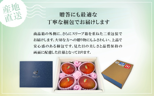 【2027年6月下旬から順次発送】かみざと農園の贈答用アップルマンゴー2kg【配送不可地域：離島】