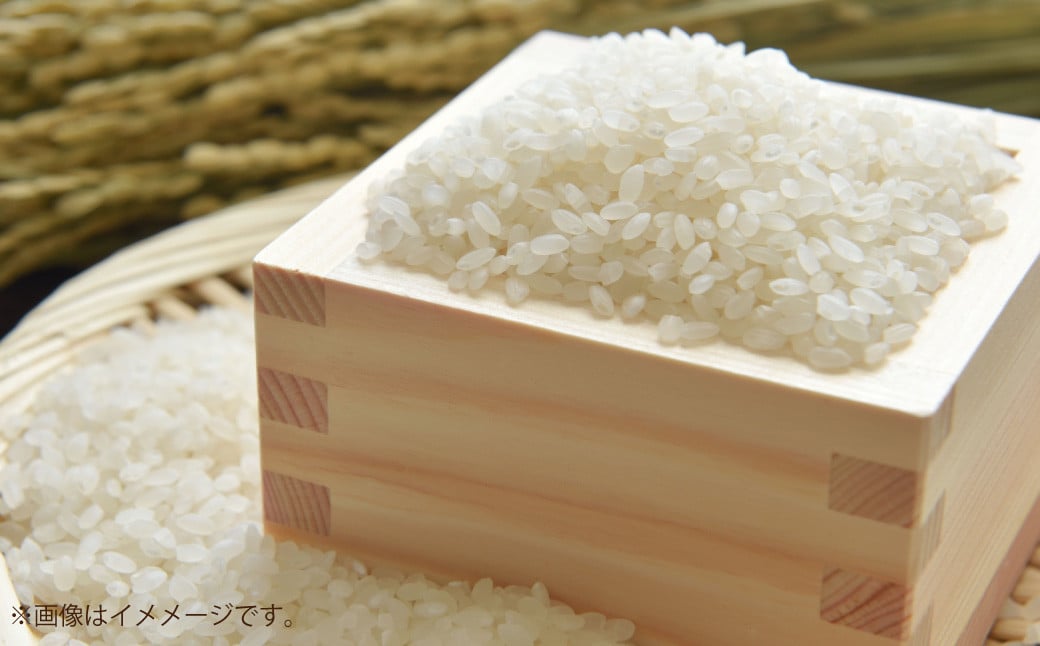
            【令和7年産】島育ち、甑島産・ヒノヒカリ 白米 5㎏ × 1袋 【2025年11月上旬より順次発送開始】【先行予約】米 お米 おこめ AS-0133
          