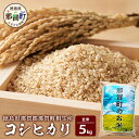 【ふるさと納税】那賀町相生産 コシヒカリ 玄米 5kg【徳島 那賀 国産 徳島県産 こめ おこめ 米 お米 ごはん ご飯 げんまい 玄米 こしひかり コシヒカリ 5kg 和食 おにぎり お弁当 食べて応援 ギフト プレゼント 母の日 父の日】YS-4-2