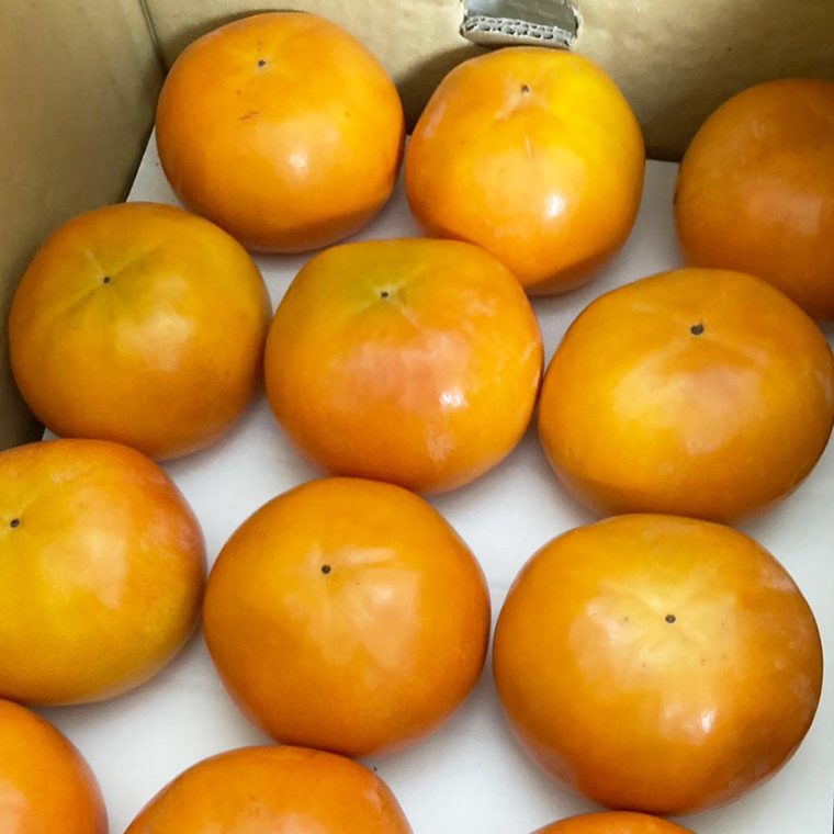 柿 3kg（15～18個）【令和6年10月より発送開始】（茨城県共通返礼品：石岡市産）柿 かき カキ 果物 フルーツ 茨城県産 [BI428-NT]_イメージ2