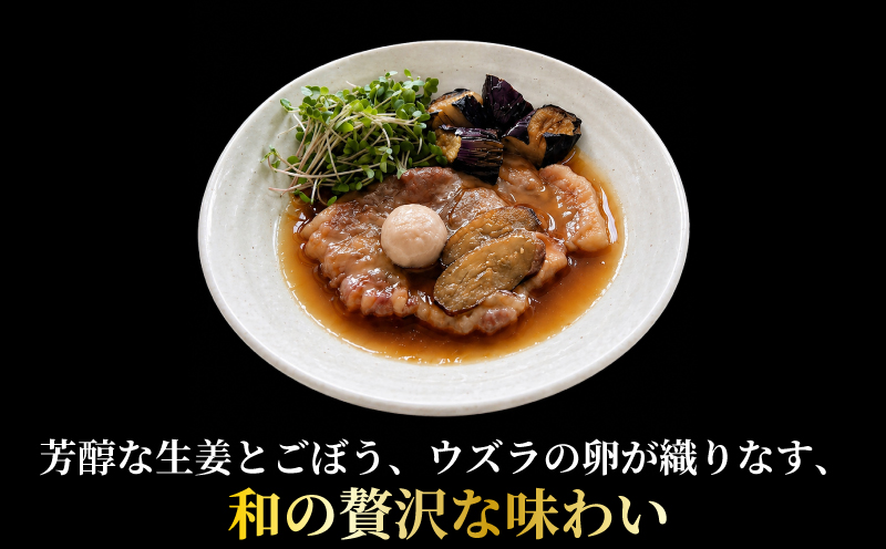 元気豚 贅沢 煮込みステーキ 2種の味わい堪能セット 豚肉 ポーク ブランド豚 国産 ステーキ 厚切り 柔らか 贅沢 レトルト 和風 洋風 常温保存 長期保存 ギフト プレゼント 厚切り 惣菜 おかず