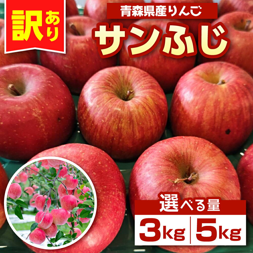 【ふるさと納税】 りんご 青森 サンフジ 訳あり (内容量が選べる 約 3kg / 5kg ) 農家直送 【配送時期が選べる： 11月 12月 】サンふじ ふるさと納税 傷 キズ ワケアリ フルーツ 林檎 リンゴ apple 送料無料 青森県 五所川原市