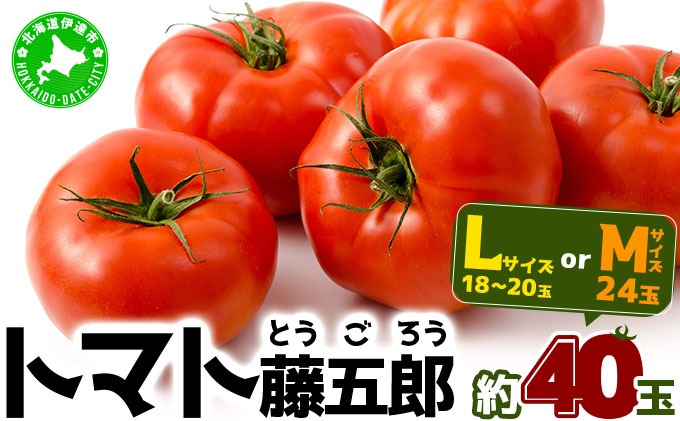 【2026年 発送 】 先行予約 北海道 伊達 トマト 藤五郎  約 40 玉 M ～ L サイズ とまと 新鮮 ジューシー 産地直送