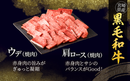 ≪定期便≫＼1か月に2回お届け!!／牛＆豚!!満喫セット【総重量2.3kg】 肉 牛肉 豚肉 おかず 国産_T030-052【人気 肉 ギフト 肉 食品 肉 焼き肉 肉 BBQ 肉 贈り物 肉 おすす