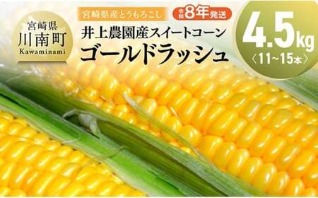 【令和8年発送】宮崎県産井上農園産スイートコーン(ゴールドラッシュ)4.5kg スイートコーン