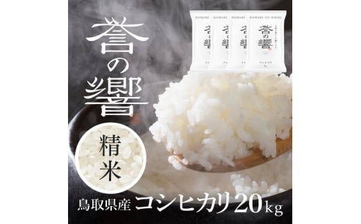 【要確認：配送時期指定NG】【令和7年産】（白米 ※精米済 20kg）優栽：特別栽培米 鳥取県日野町産 コシヒカリ お米 米