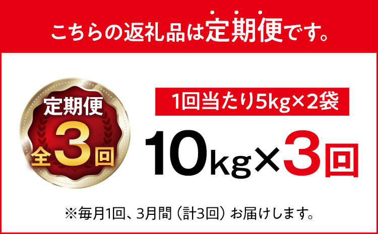 【無洗米】 令和7年産 金のめし丸 元気つくし 合計30kg 10kg (5kg×2袋) ×3回 定期便 白米 精米 お米 ご飯 米 精米 お取り寄せ 福岡 お土産 九州 福岡県産 グルメ 福岡県