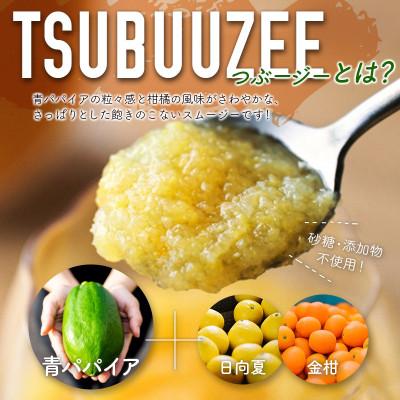 ふるさと納税 新富町 青パパイアスムージー 2個入 MIYAZAKI GREEN PAPAYA TSUBUUZEE |  | 01