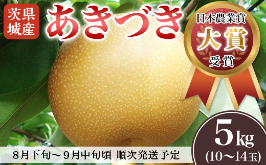 【先行予約】茨城県産「あきづき」約5kg【2026年8月下旬～9月中旬にかけて発送予定】【 梨 果物 くだもの フルーツ 国産 季節限定 人気 贈り物 お取り寄せ デザート 】