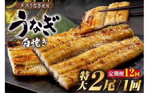 【定期便12ヶ月】三河高浜産三代目養鰻家の白焼きうなぎ 特大2尾