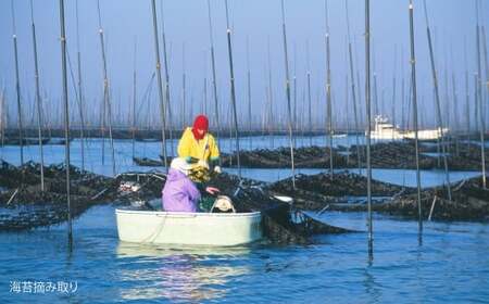 海王 一番摘み焼海苔 5枚入×4袋 計20枚  焼き海苔 板海苔 板のり のり 海苔 初摘み 香り 有明のり 有明海苔