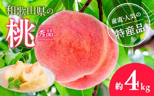【農園直送】朝採れの和歌山の桃　約4kg・秀品【2026年度発送分】｜ モモ 国産 フルーツ お取り寄せ ギフト