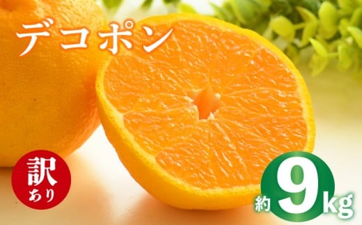 2026年 先行予約 デコポン 約9kg 不知火 しらぬい みかん 柑橘 蜜柑 オレンジ 果物 フルーツ 果実 旬 家庭用 2月中旬～4月中旬 配送 香川県 丸亀市
