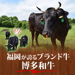 和牛しゃぶすき焼き用 800g 牛肉訳あり 牛肉訳あり 牛肉訳あり 牛肉訳あり MEP005