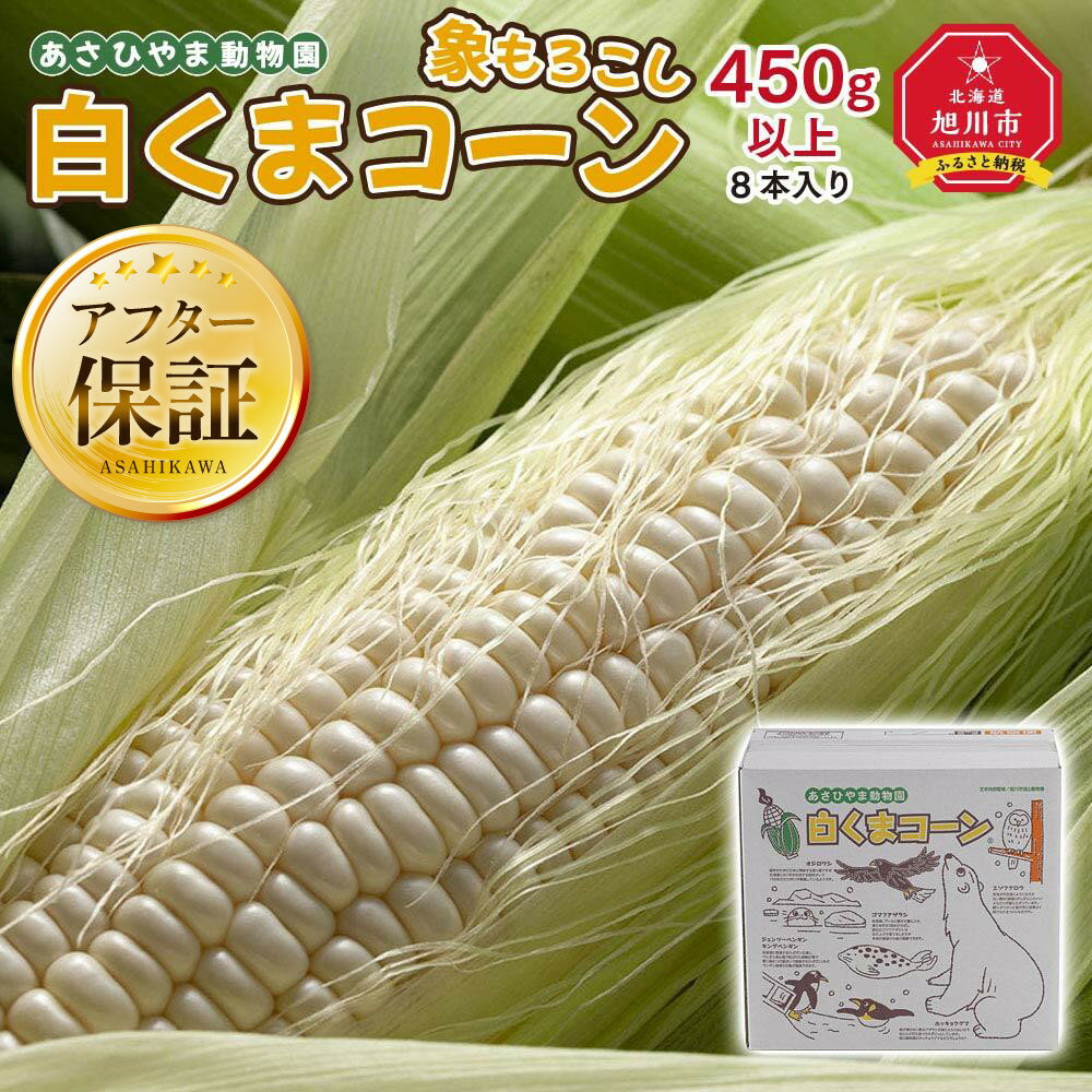 【ふるさと納税】【26年発送先行予約】象もろこし（白くまコーン）大きいサイズのトウモロコシ 450g以上 8本入り (2026年8月下旬から発送開始予定) _01413 | とうもろこし 白くまコーン コーン 産地直送 ホワイトレディ ピュアホワイト 旭川市 北海道 送料無料