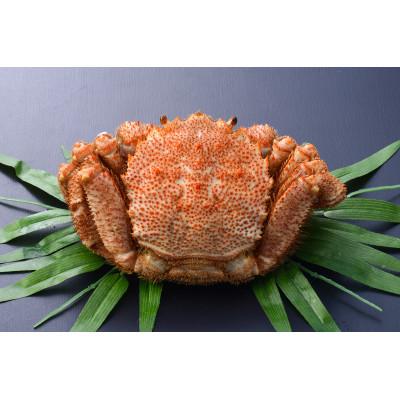 ふるさと納税 厚岸町 北海道厚岸産　浜茹で毛がに　800g〜850g×1尾