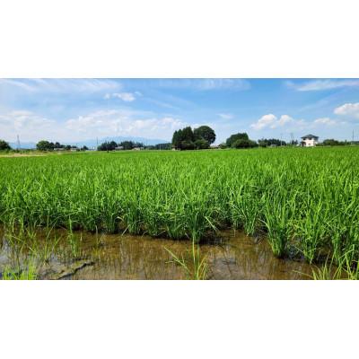 ふるさと納税 那須塩原市 白米5kg【LAL技術栽培】 |  | 02