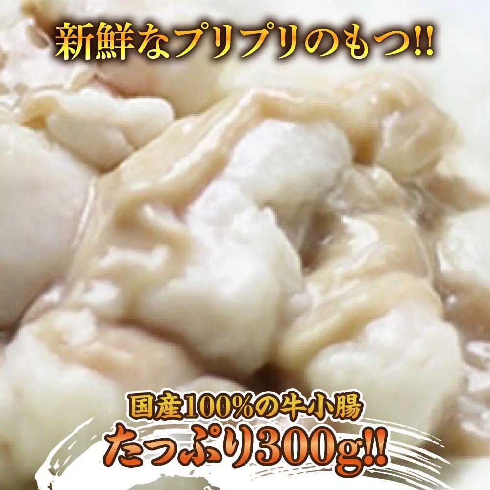 博多 明太醤油もつ鍋 セット 2-3人前[BGAF010] めんたいチューブ