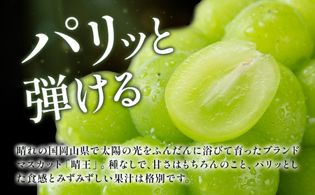 【2026年発送】プレミアム シャインマスカット 船穂 赤秀品 晴王 1.2kg 晴レ乃青果　(岡山中央卸売市場店(富士紙工 有限会社))