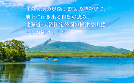 ミネラルウォーター夢水氣(500ml×24本)5セット 天然アルカリイオン水 軟水 【ふるさと納税 人気 おすすめ ランキング 天然アルカリイオン水 天然水 ミネラルウォーター 横津岳山麓 北海道 七