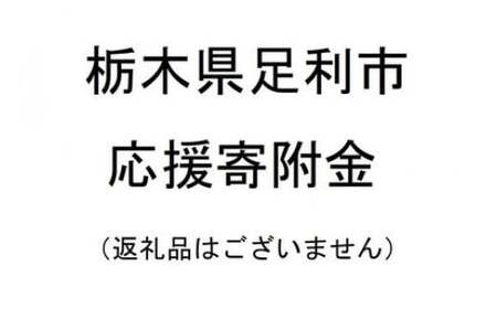 【返礼品なし】栃木県足利市応援寄附金 3,000円  F7Z-B003