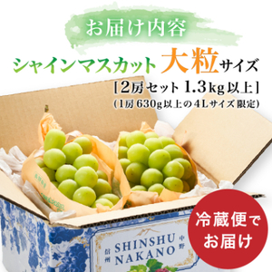 【先行受付】JA中野市直送!大房シャインマスカット2房1.3kg以上2024年9月下旬～11月上旬発送【配送不可地域：離島】【1459211】