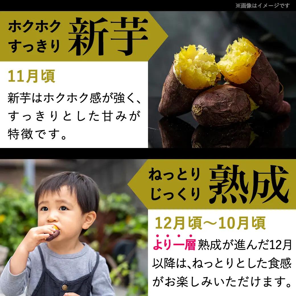 島津甘藷　熟成紅はるか 10kg(S～2S)_12-A701-m_(都城市) 島津甘藷 紅はるか 10kg サイズ未選別 Ｓ～２Ｓ おやつ お菓子作り 料理