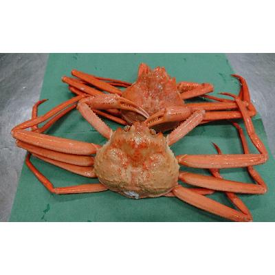 ふるさと納税 射水市 紅ズワイガニ 約1kg(2〜3尾足折れ含む) |  | 01