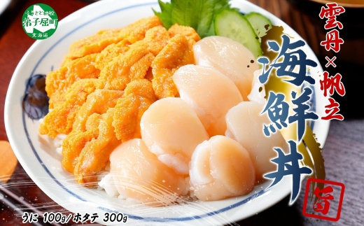 3382. うに チリ産 冷凍 100g ホタテ 300g セット ファミリー ウニ 雲丹 ほたて 生ほたて 帆立 貝柱 貝 海鮮 海鮮丼 送料無料 北海道 弟子屈町