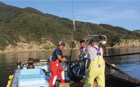 【旨味がギュッッと凝縮！】旬の魚 干物 5種 詰め合わせ【松園水産】[RBO012]