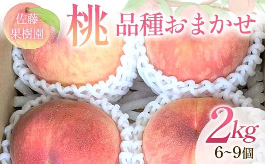桃 品種おまかせ 2kg 6～9個 もも 贈答 プレゼント ＜佐藤果樹園＞ モモ 桃 デザート フルーツ 果物 F7X-0280