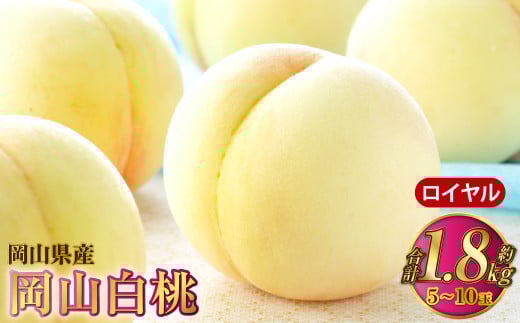 岡山白桃 ロイヤル 5～10玉 約1.8kg 岡山県産【2025年7月上旬～8月下旬発送予定】 白桃 桃 もも モモ