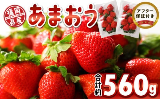 
                  【2027年1月より順次発送】福岡県産 あまおう 約560g（約280g×2パック）_いちご あまおう 約 280g × 2パック 合計 約 560g 福岡県産 食べごたえのある大きさ 果汁 スイーツサンド パフェ ショートケーキ 旬 果物 フルーツ スイーツ おやつ 久留米市 冷蔵 お取り寄せ 送料無料_Fi049
                