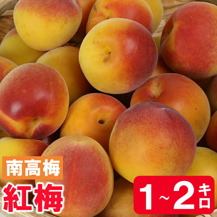【ふるさと納税】ひらそ農園の紅梅 1kg〜2kg 梅 南高梅 紅梅 梅干し 梅酒 梅酒用 梅干 梅シロップ 梅ジャム 1キロ 2キロ 数量限定 先行予約 6月 ＜004-703＞