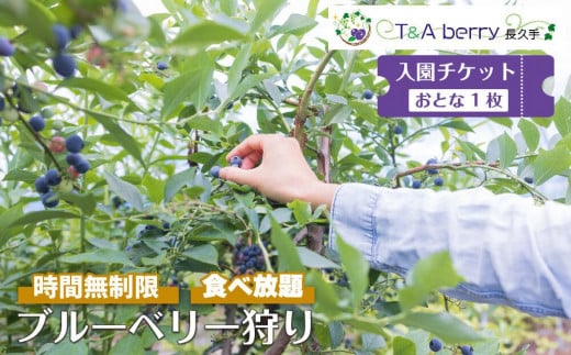 
【時間無制限・食べ放題】ブルーベリー狩り入園チケットおとな１枚
