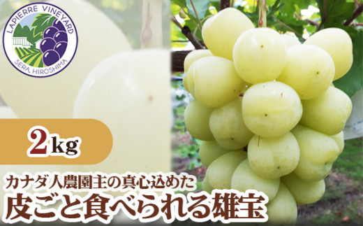 No.238 【カナダ人農園主の真心を込めた】皮ごと食べられる雄宝　約2kg ／ 葡萄 ブドウ 果物 フルーツ 広島県