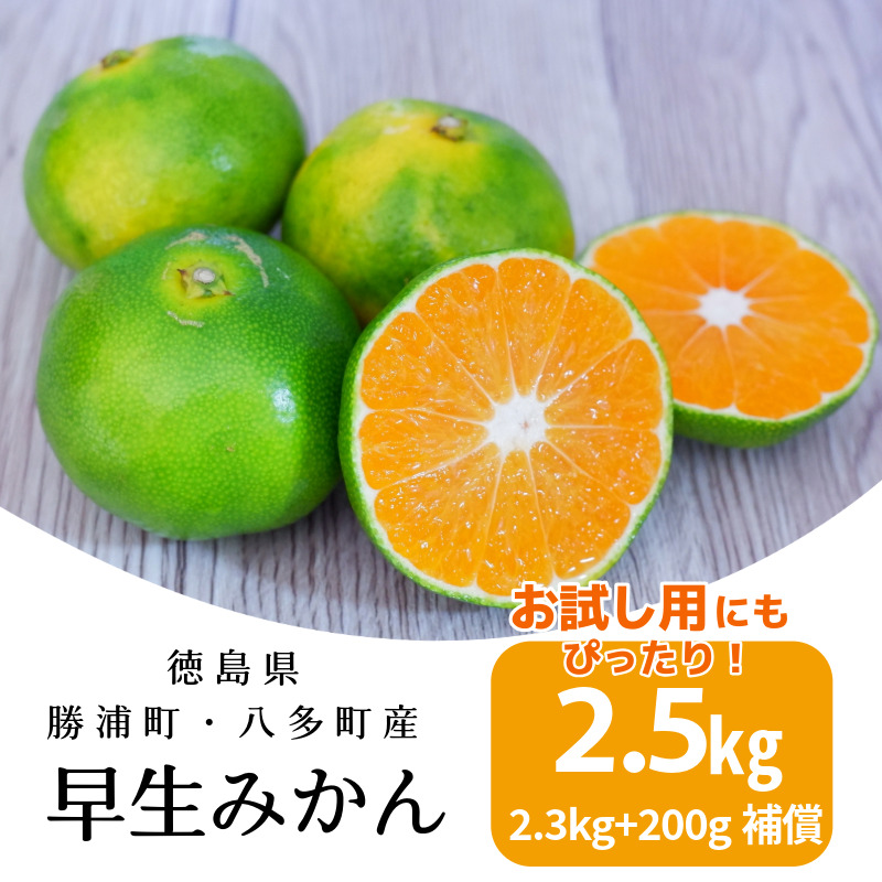 みかん 早生みかん 2.5kg 2.3kg＋傷み補償分200g 早生 柑橘 フルーツ 果物 みかん ミカン みかん 蜜柑 早採り オレンジ 1万円未満 徳島県 勝浦町 徳島市 八多町