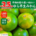 【ふるさと納税】ゆら早生 みかん 箱入2.5kg (内容量2.3kg) SMLサイズのいずれか 秀品 優品 混合 有田みかん 和歌山県産 【みかんの会】 | 和歌山 フルーツ 果物 くだもの かんきつ 柑橘 柑橘類 みかんの会 送料込み 送料無料