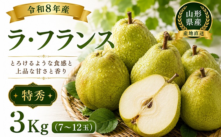 
                  山形産 ラ・フランス 特秀 3kg(7～12玉) FY26-174
                